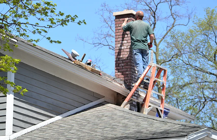 Chimney & Fireplace Inspections Services in South Riding, VA